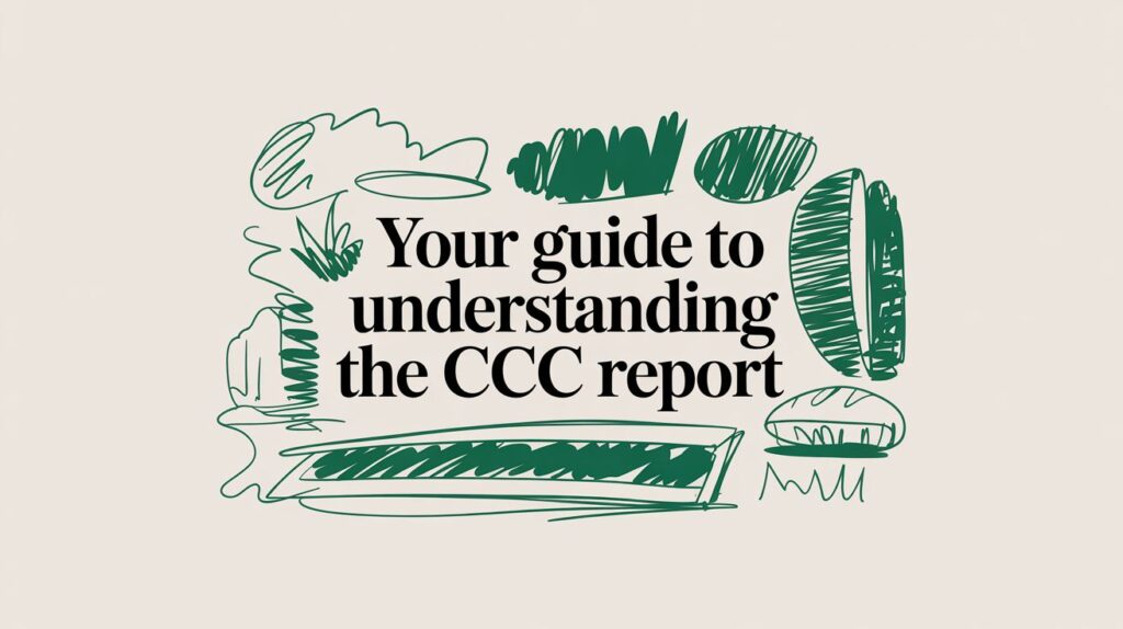 What is a CCC Report? Your Guide to Understanding an Insurance Claim